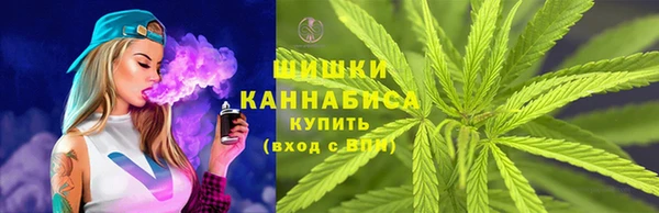 хмурый Пересвет