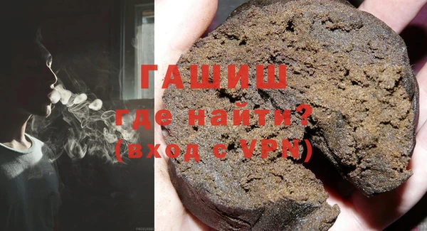хмурый Пересвет