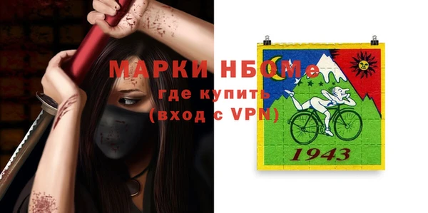 хмурый Пересвет