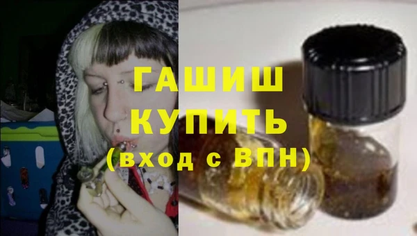 хмурый Пересвет