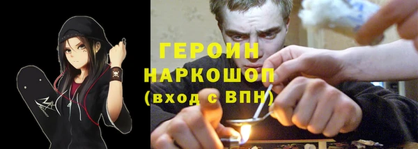 хмурый Пересвет