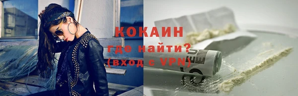 хмурый Пересвет