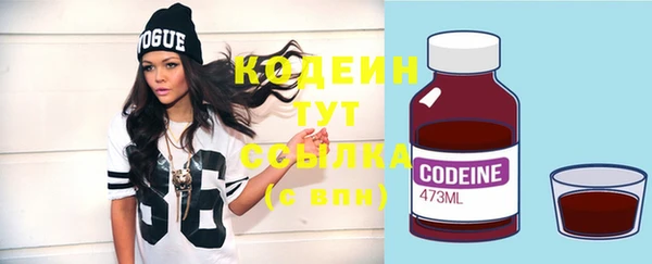хмурый Пересвет