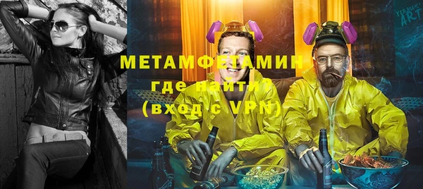 хмурый Пересвет