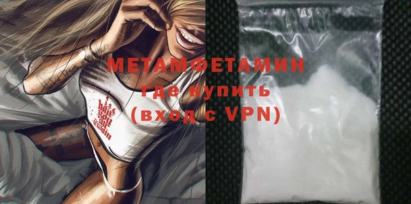 хмурый Пересвет