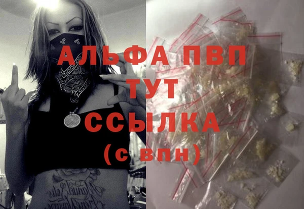 хмурый Пересвет