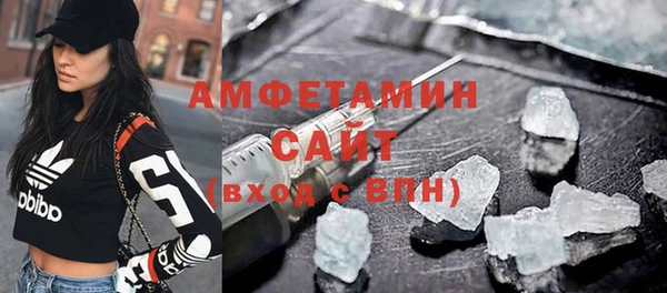 хмурый Пересвет