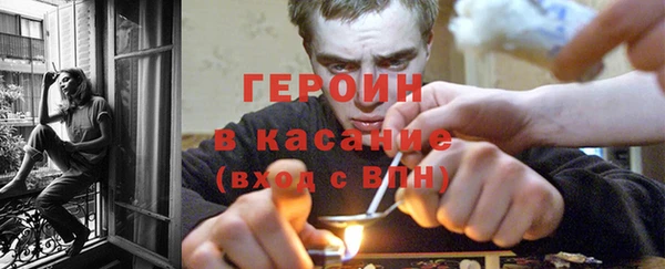 хмурый Пересвет
