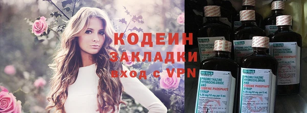хмурый Пересвет