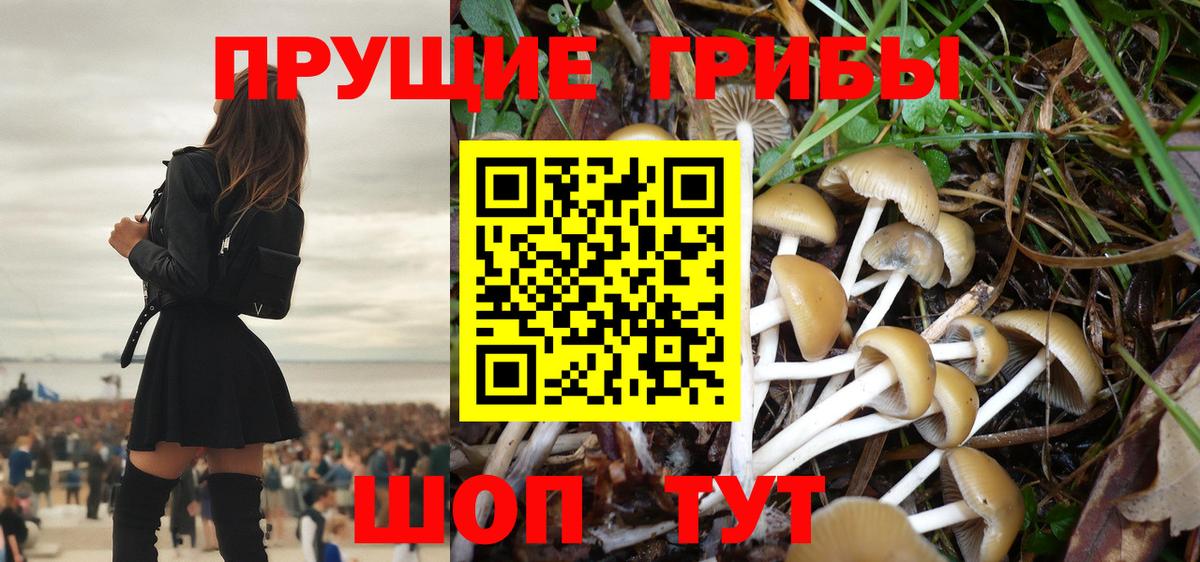 Галлюциногенные грибы MAGIC MUSHROOMS Грязи