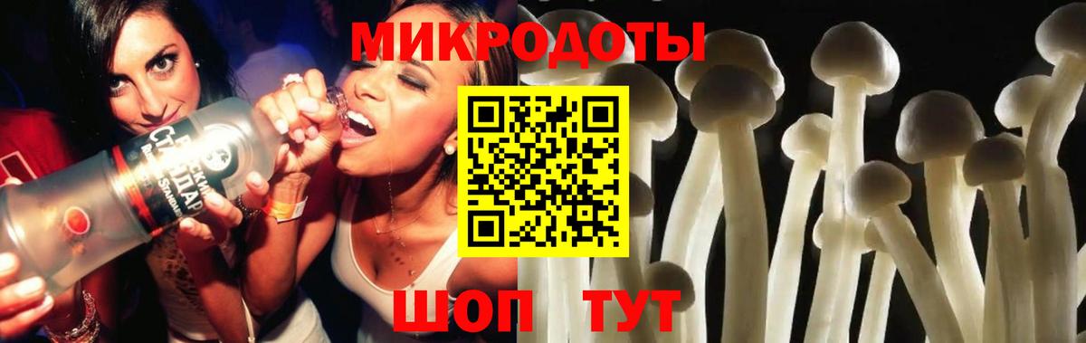 Грязи  Псилоцибиновые грибы MAGIC MUSHROOMS  Вход с VPN  Псилоцибиновые грибы Psilocybine cubensis 